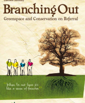 Branching Out Evaluation 2009: Executive Summary